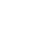 Logo of client Paelinck Pleisterwerken